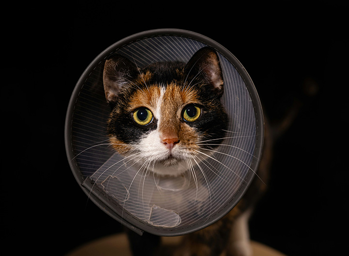 Diagnostic imaging facilities